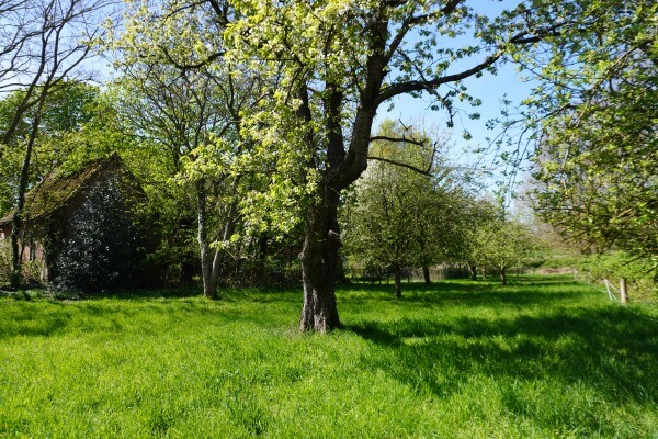 Wagner Immobilien Hache Garten (1) Bauernhaus Bruchhausen-Vilsen