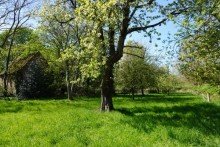 Wagner Immobilien Hache Garten (1) Historisches Bauernhaus von 1720 - Ihr Refugium im Herzen der Natur