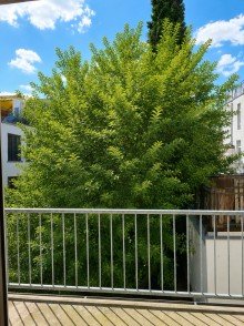 Balkon WHG 3 Seltene Investment- und Entwicklungsm�glichkeit im beliebten Bremer Stadtteil Hulsberg.
