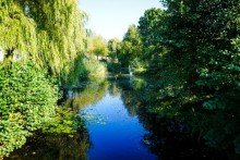 Umgebung (1) Sch�ne helle 3-Zi. Wohnung am B�rgerpark, Balkon, Einbauk�che, Barrierefrei + Garage