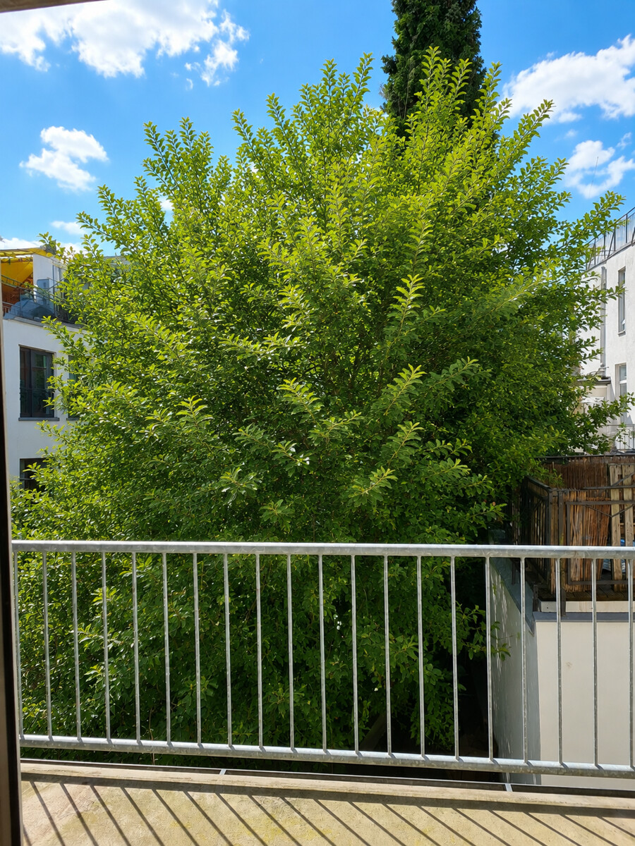 Balkon WHG 3 Mehrfamilienhaus Bremen