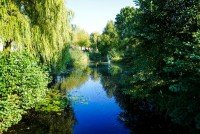 Bild (a77d5a4ab015721ee47e055c1a07e05a): Sch�ne helle 3-Zi. Wohnung am B�rgerpark, Balkon, Einbauk�che, Barrierefrei + Garage