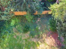 garten 1 Sch�ne sanierte 2-Zi. DG-Wohnung, Terrasse, Gartennutzung, Einbauk�che + Garage